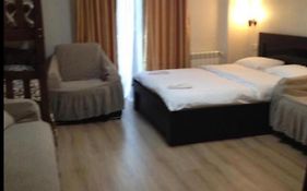 David Apt On Bakuriani Orbi Palace